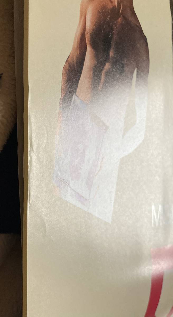 ポスター大型『 ワンダとダイヤと優しい奴ら』（1988年）ジェイミー・リー・カーティス モンティ・パイソン ゆうパック発送のみ_画像3