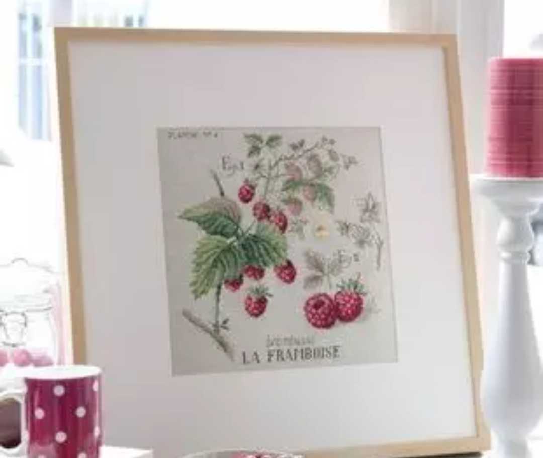 クロスステッチキット アンティークコレクション ボタニカル ラズベリー 木苺 18CT 32×32cm 図案印刷なし 刺繍 
