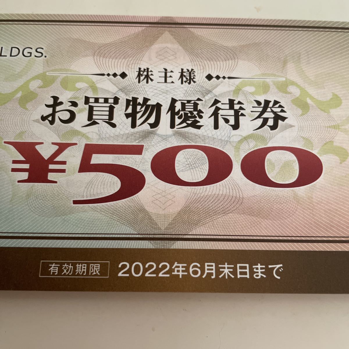 ヤマダ電機株主優待券 9500円分 有効期限2023年12月末までの