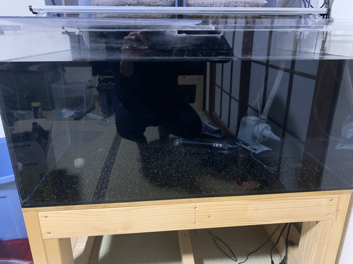 絶妙なデザイン アクリル水槽 重合接着 横900奥行600高450 ぷぅ工房上部フィルター 引き取り限定 即立ち上げ可能 色々セット 育成水槽 アロワナ - 90cm~ - hlt.no 絶妙なデザイン アクリル水槽 重合接着 横900奥行600高450 ぷぅ工房上部フィルター 引き取り限定 即立ち上げ可能 色々セット 育成水槽 アロワナ - 90cm~ - hlt.no