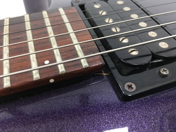 Fernandes フェルナンデス RE-95G レスポール CRAZE 瀧川一郎 Fernandes フェルナンデス RE-95G レスポール CRAZE 瀧川一郎
