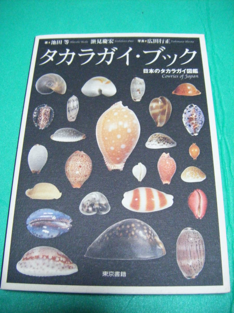 Yahoo!オークション - 書籍 貝殻 「タカラガイ・ブック」 日本の Yahoo!オークション - 書籍 貝殻 「タカラガイ・ブック」 日本の