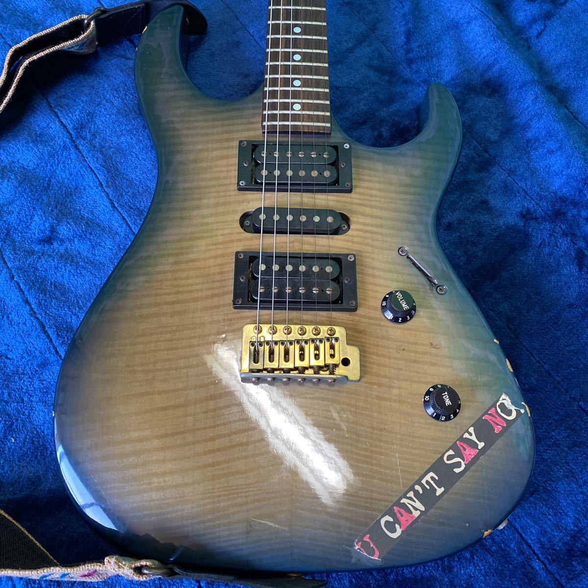Chatting Bird by CAPARISON エレキギター ソフトケース付き Chatting Bird by CAPARISON エレキギター ソフトケース付き