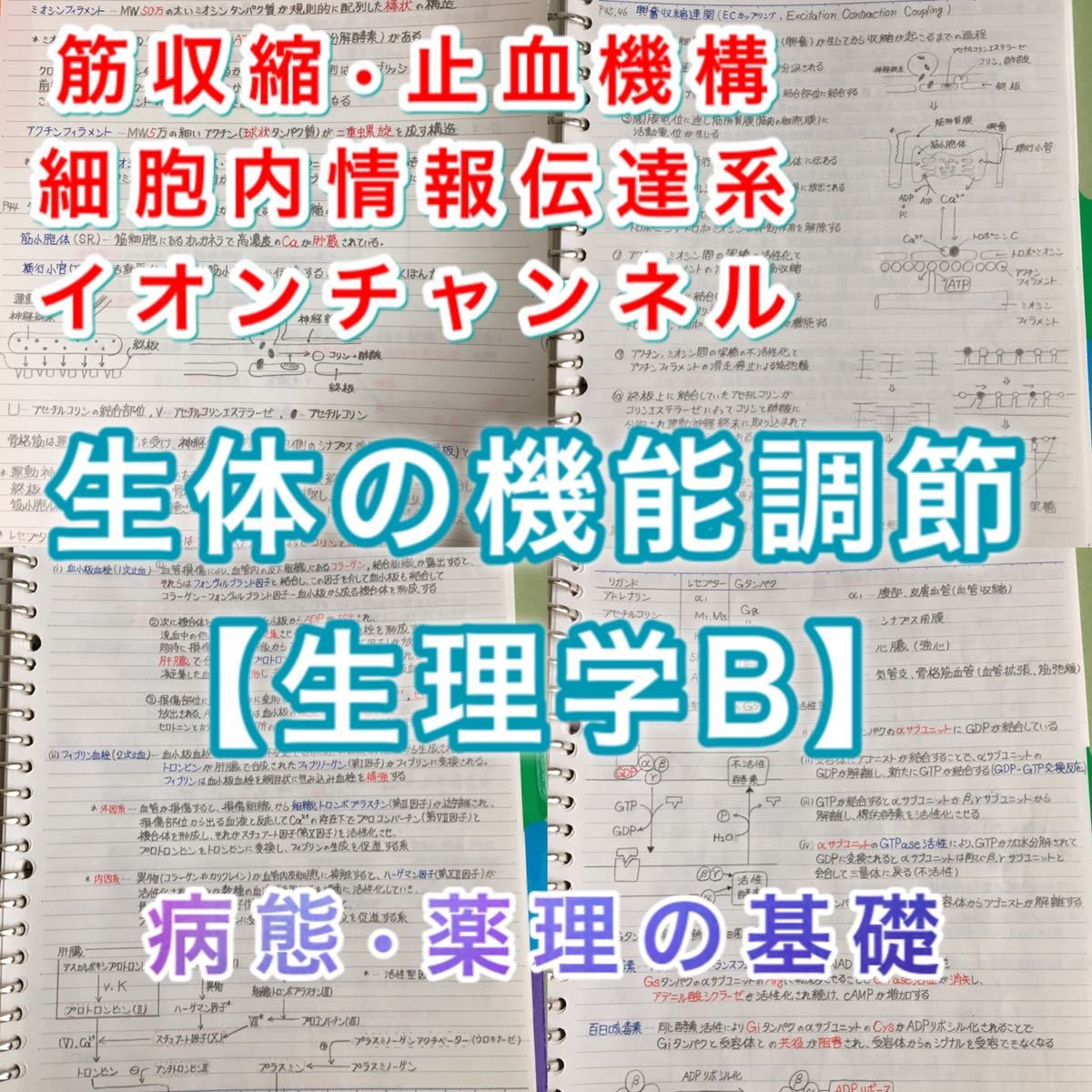 精神保健福祉士、介護福祉士国家試験、定期試験対策シリーズ【生理学B】まとめノート