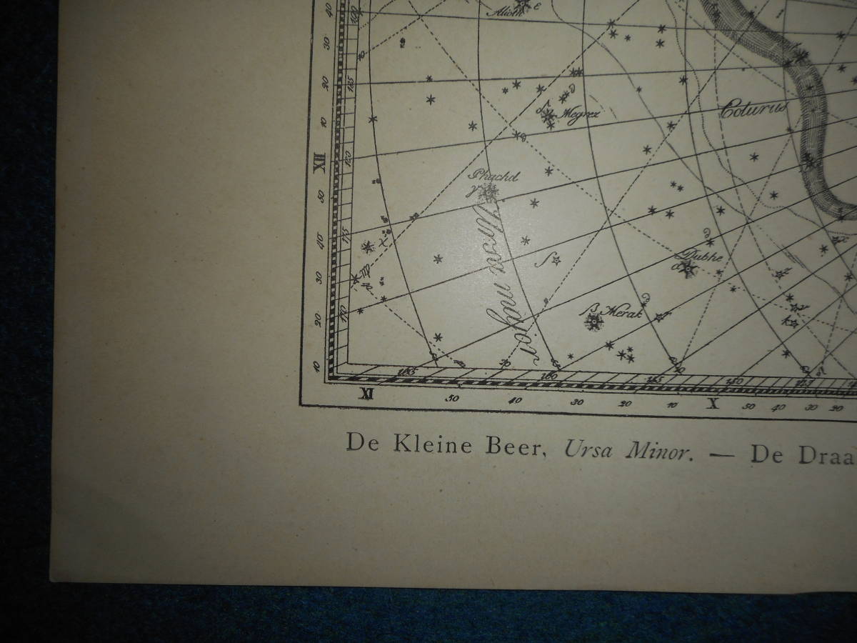 アンティーク天球図、天文暦学書Astronomy 星座図絵1801年復刻『ボーデの星図ウラノグラフィア1』Star map, Planisphere, Celestial atlas_画像4