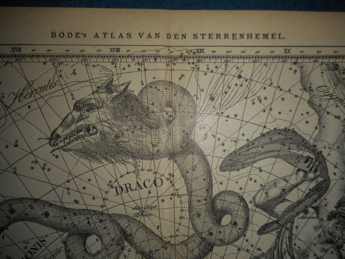 アンティーク天球図、天文暦学書Astronomy 星座図絵1801年復刻『ボーデの星図ウラノグラフィア1』Star map, Planisphere, Celestial atlas_画像5