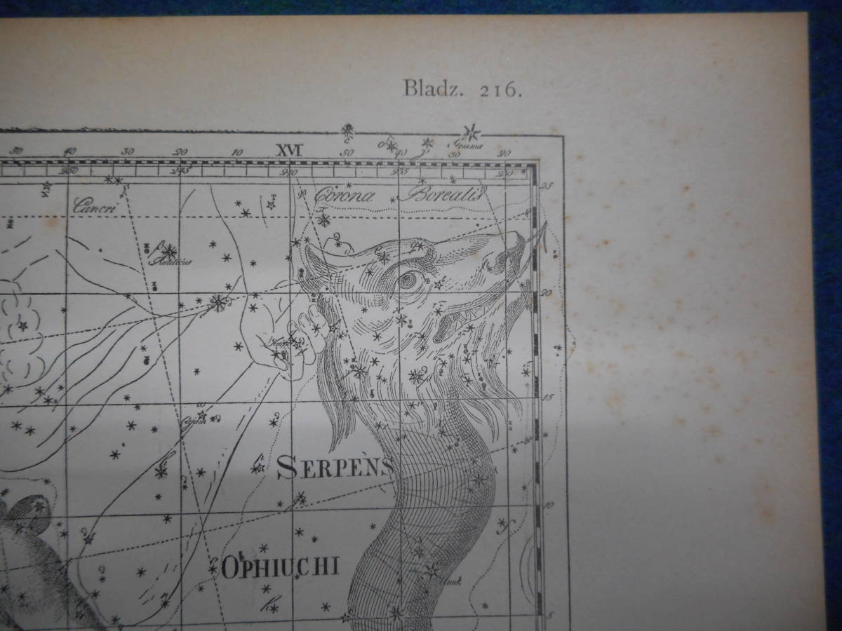 アンティーク天球図、天文暦学書Astronomy 星座図絵1801年復刻『ボーデの星図ウラノグラフィア8』Star map, Planisphere, Celestial atlas_画像8