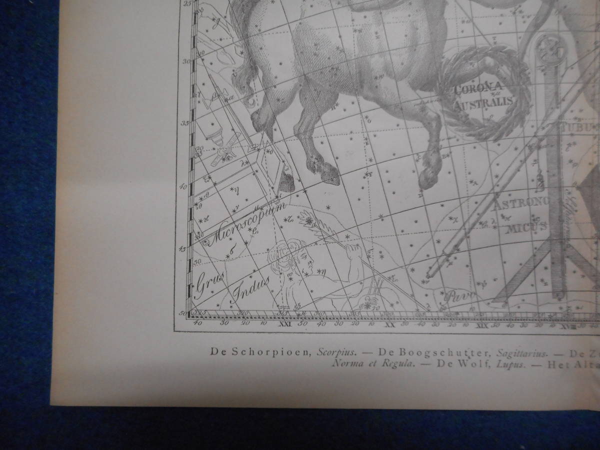 アンティーク天球図、天文暦学書Astronomy 星座図絵1801年復刻『ボーデの星図ウラノグラフィア13』Star map, Planisphere, Celestial atlas_画像4