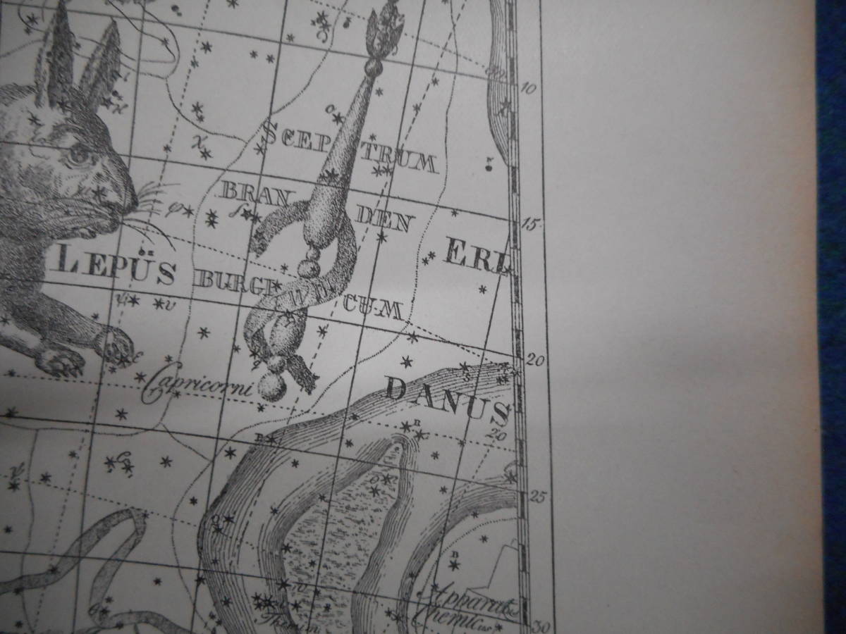 アンティーク天球図、天文暦学書Astronomy 星座図絵1801年復刻『ボーデの星図ウラノグラフィア16』Star map, Planisphere, Celestial atlas_画像9