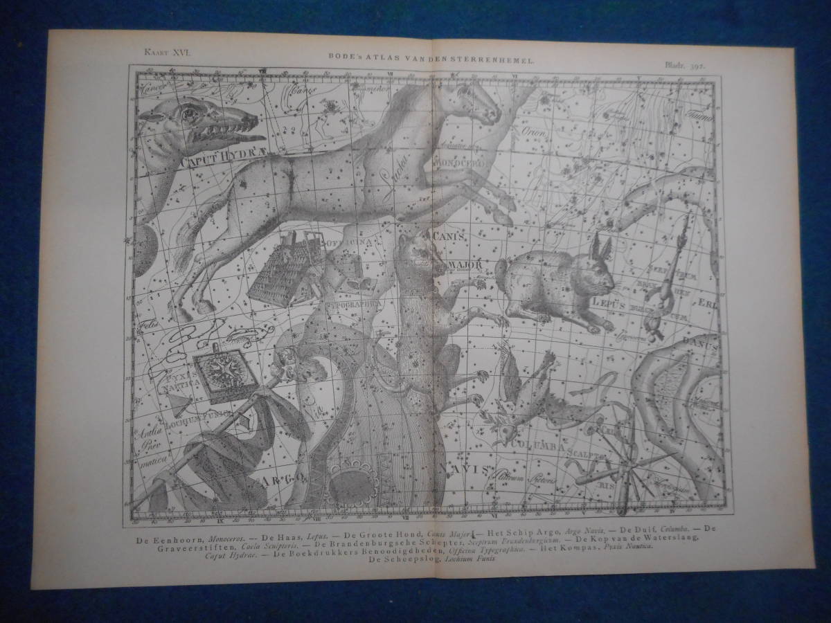 アンティーク天球図、天文暦学書Astronomy 星座図絵1801年復刻『ボーデの星図ウラノグラフィア16』Star map, Planisphere, Celestial atlas_画像1