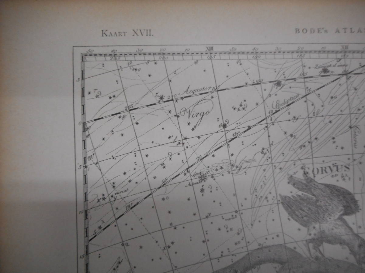 アンティーク天球図、天文暦学書Astronomy 星座図絵1801年復刻『ボーデの星図ウラノグラフィア17』Star map, Planisphere, Celestial atlas_画像2
