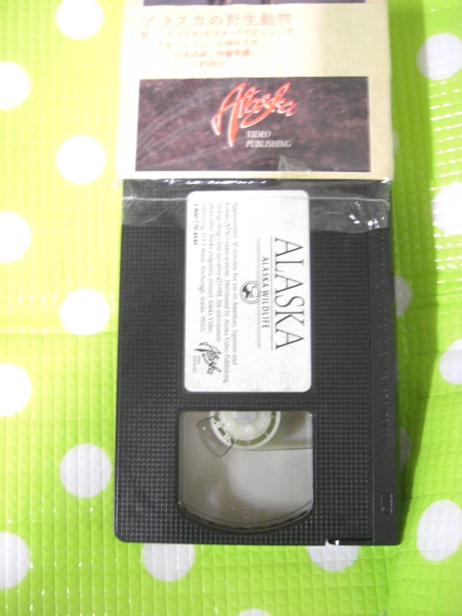 即決〈同梱歓迎〉VHS アラスカの野生動物ALASKA WIDWLIFE◎ビデオその他多数出品中θ8598_画像3