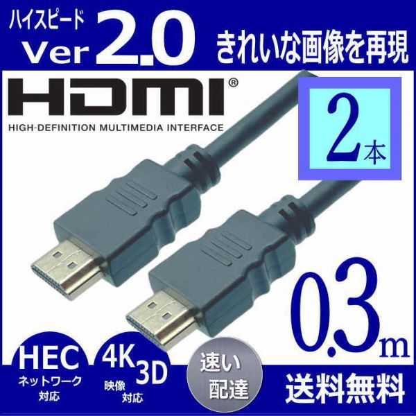 『２本セット』HDMIケーブル 30cm 3D ネットワーク 4KフルHD対応 Ver2.0 高速・高品質 2HDMI-03x2【送料無料】_画像1