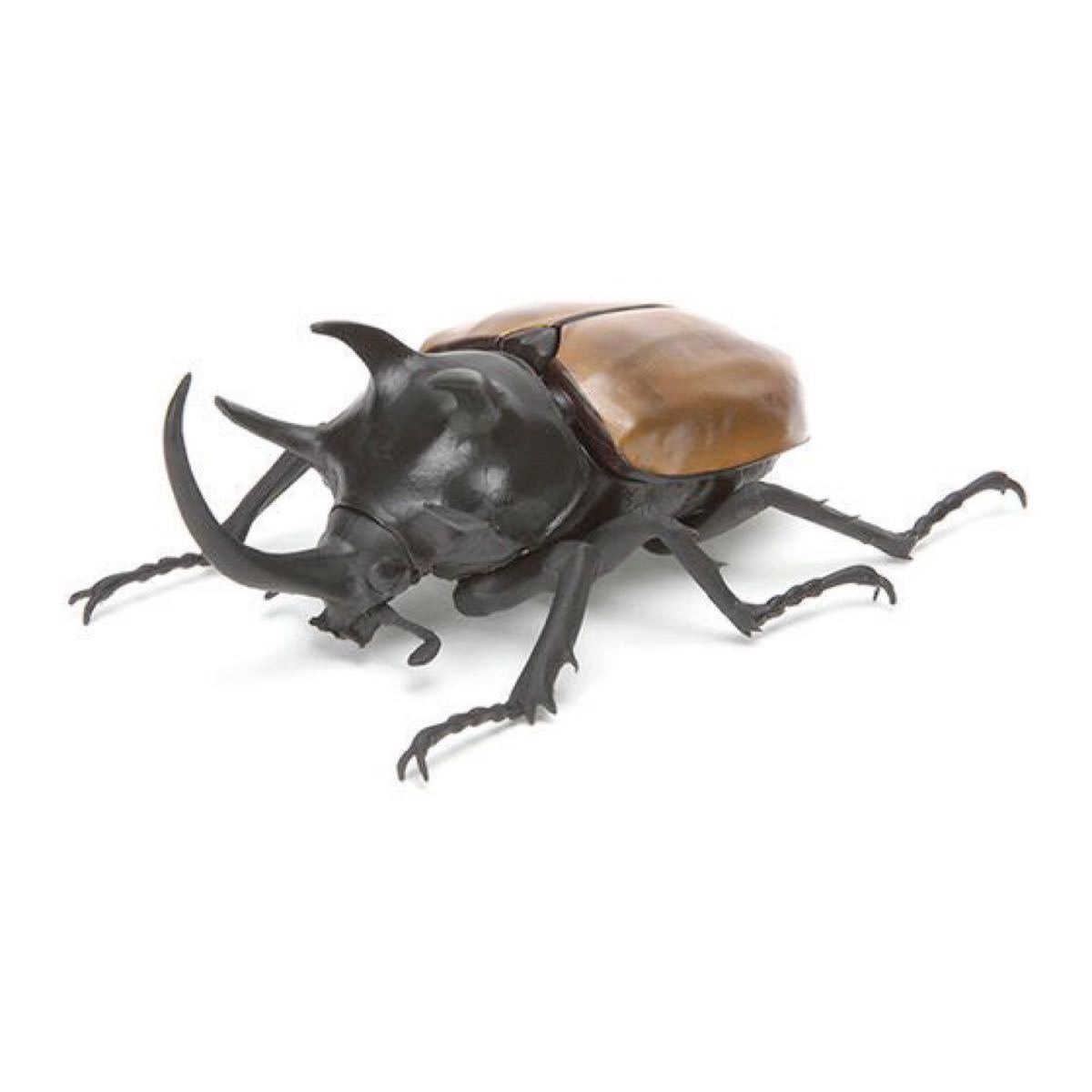 カブトムシ02 コーカサスオオカブト&ゴホンヅノカブト 2種セット カブトムシ02 コーカサスオオカブト&ゴホンヅノカブト 2種セット