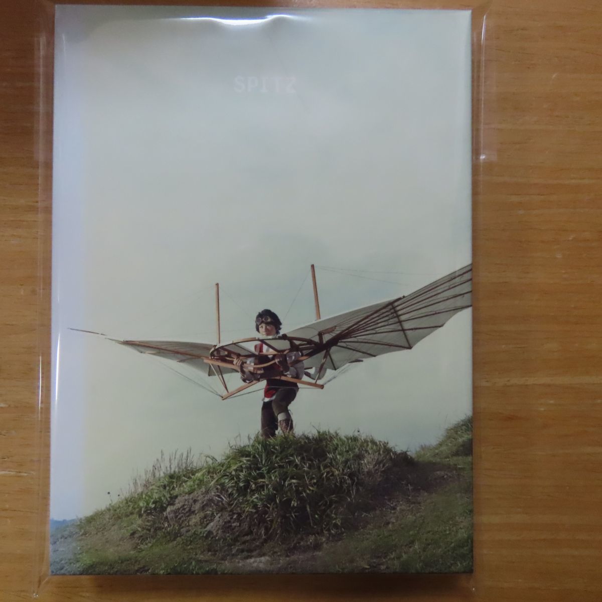 素晴らしい外見 未開封 スピッツ とげまる レコード UPJH9041 2
