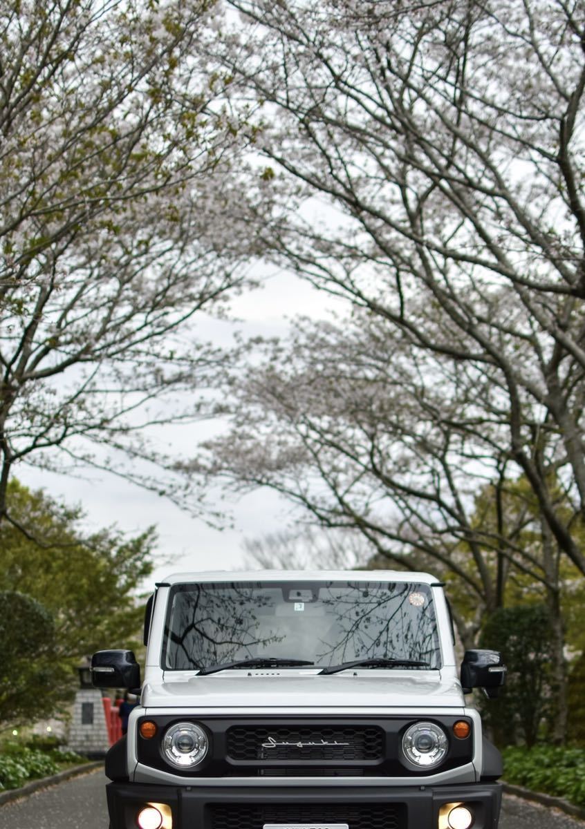 高評価のクリスマスプレゼント 即日発送‼️‼️おまけ付きスズキ