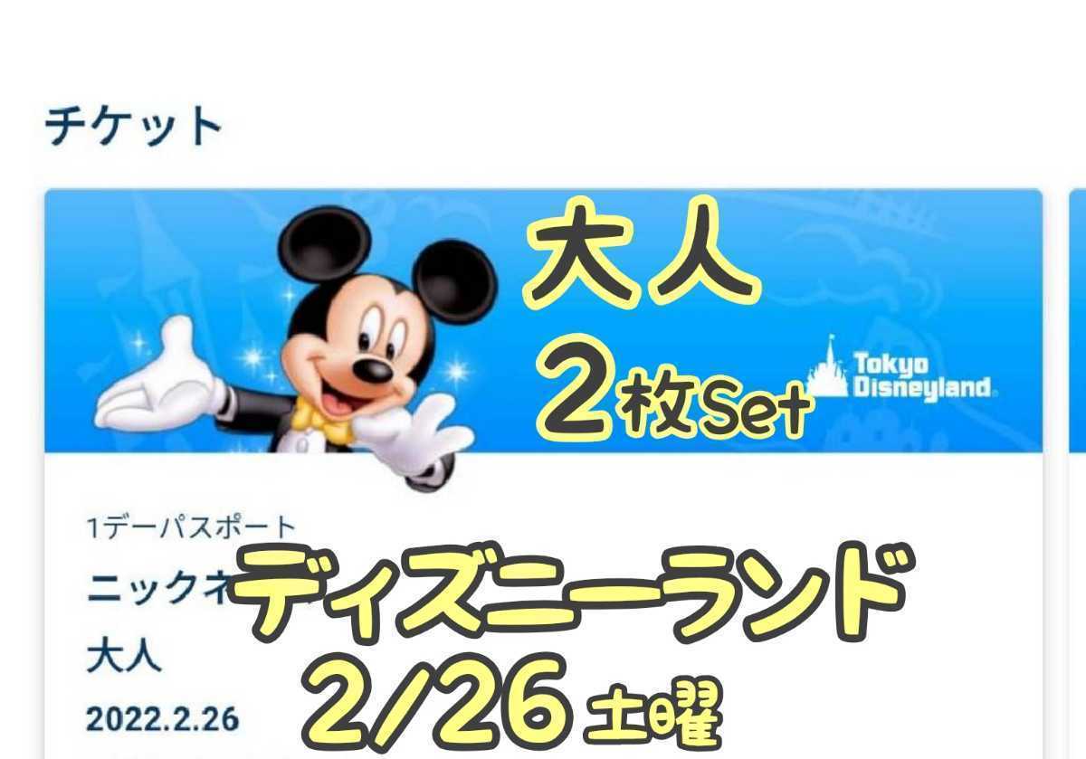 人気の春夏 ２月２６日 入場制限中 ２ ２６ チケット ペア １デーパスポート Eチケット ２枚 大人 ９時入園 ディズニーランド 土曜日 ディズニーリゾート共通券 Labelians Fr