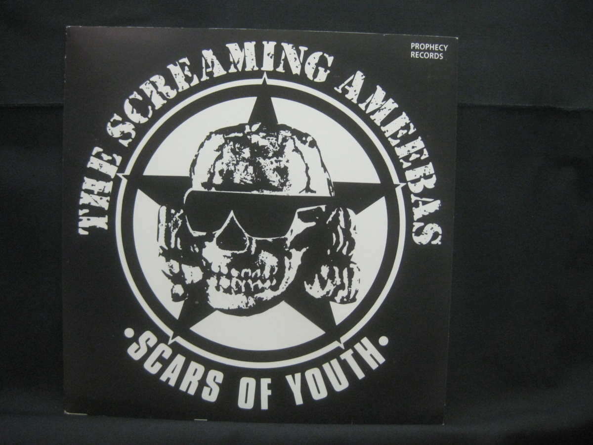 The Screaming Ameebas / Scars Of Youth ◆EP3607NO BGP◆EP_画像1