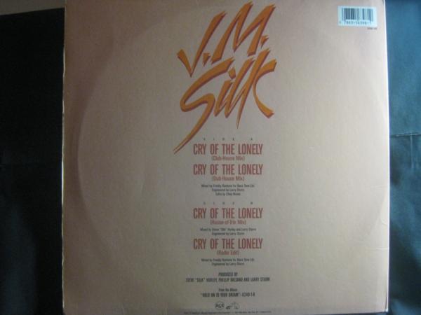 J.M. SILK / CRY OF THE LONELY ◆V201NO◆12インチ_画像2