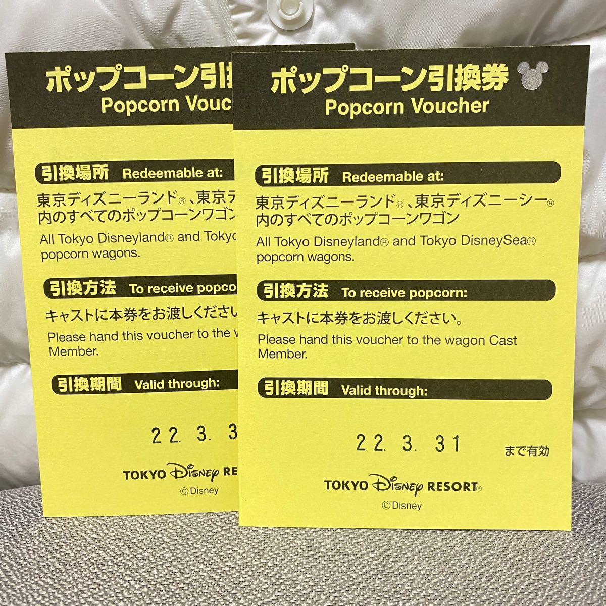 くうちゃん様 専用ページ ポップコーン引換券 2枚セット東京