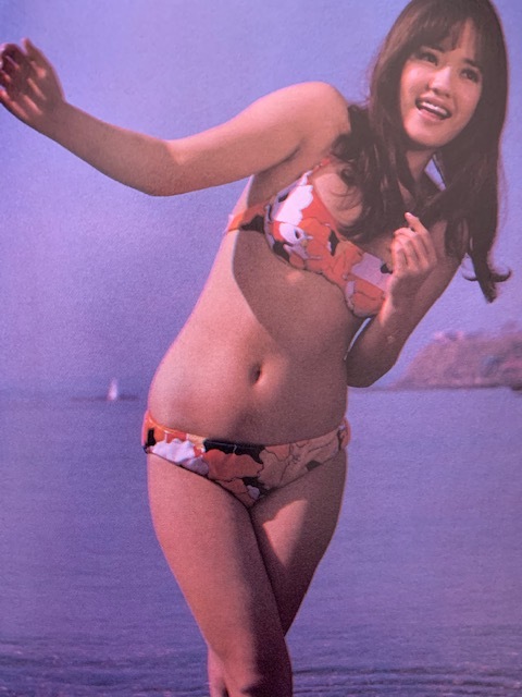 ヤフオク お宝 五十嵐淳子 水着グラビア 6p 切り抜き ヤフオク お宝 五十嵐淳子 水着グラビア 6p 切り抜き