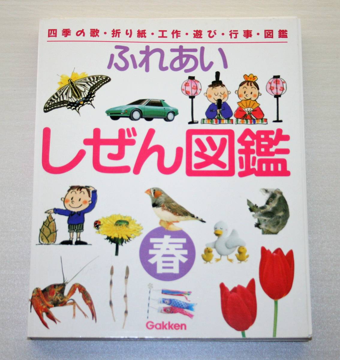 最大％オフ！ ふれあい しぜん図鑑 夏 カバー無 ページ割れ 日焼け有