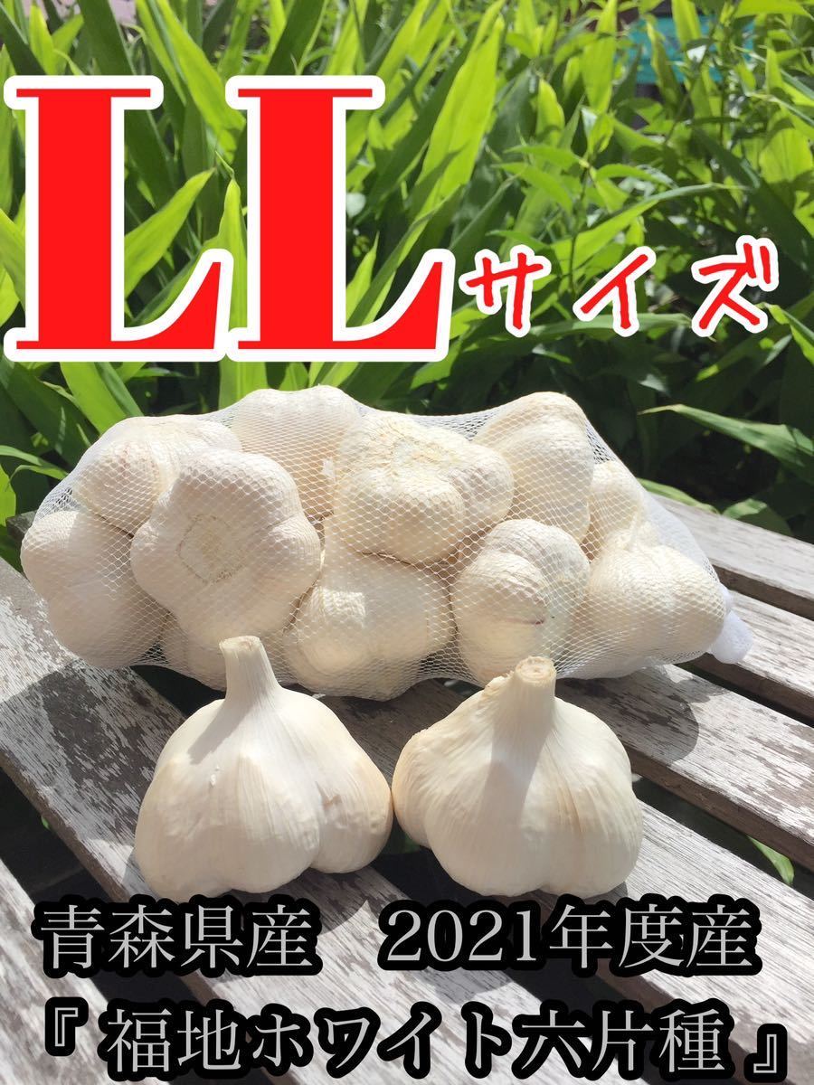 青森県産にんにく 福地ホワイト六片種 令和三年 ニンニク 2L LLサイズ 