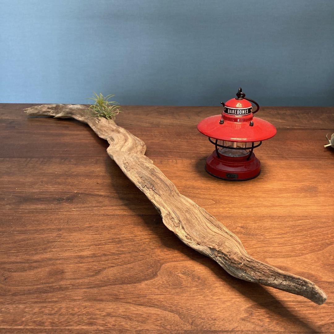 格安新品 味のある太蛇な 正規 流木…天然物 インテリア オブジェ