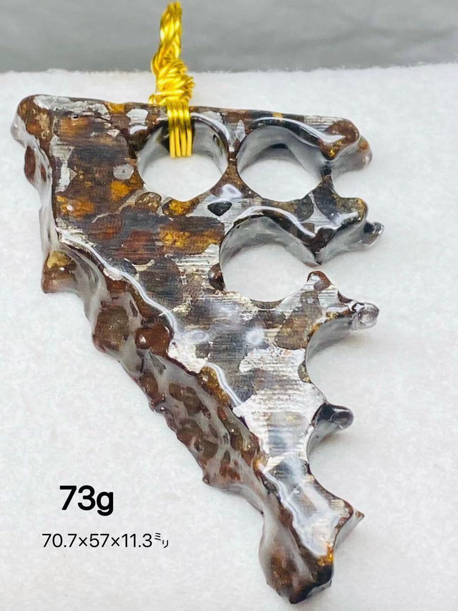 パラサイト隕石 激安 高品質 73g メテオライト ペンダント ネックレス 石鉄隕石 セリコ隕石