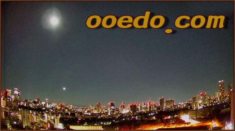  top Revell domain ooedo.com Oedo super rare private person ownership complete unused 