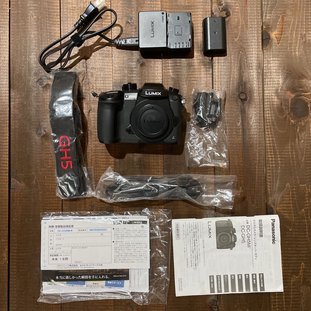Panasonic GH5 gastech.com.tr