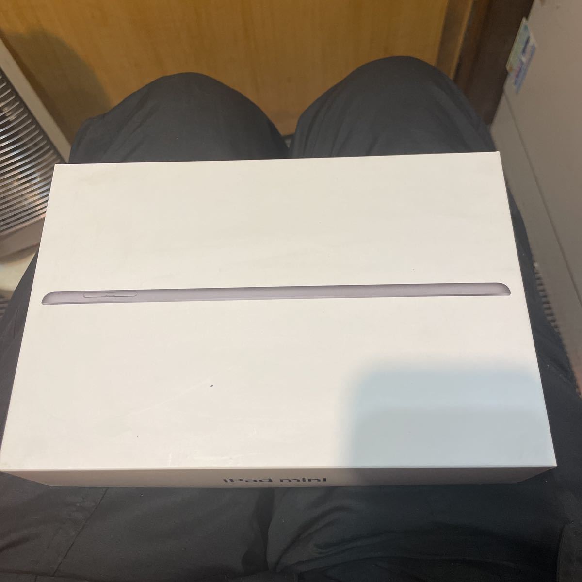 日本購入 iPad iPad mini Wi-Fi 第5世代スペースグレイ 64GB 日本購入 iPad iPad mini Wi-Fi 第5世代スペースグレイ 64GB