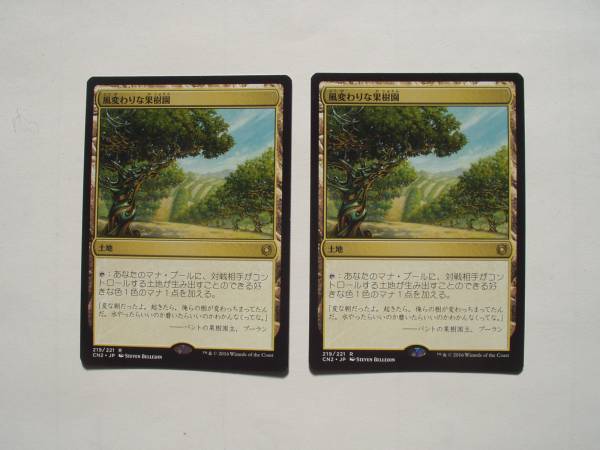 バイン　MTG 風変わりな果樹園/Exotic Orchard 日本語2枚_画像1