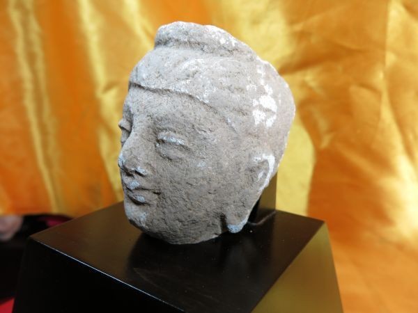 B ストッコ仏頭① 3-5世紀 ガンダーラ ハッダ地方 本物の画像9
