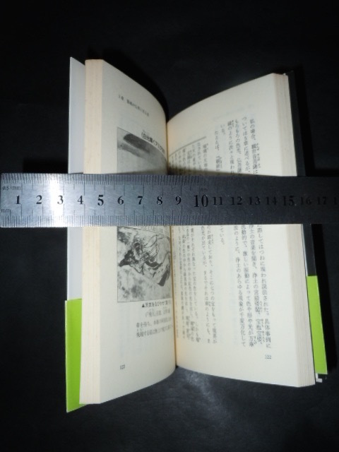 !?「 真説 死後の書 生と死は連続する 日向美則 」ノン・ブック_画像2