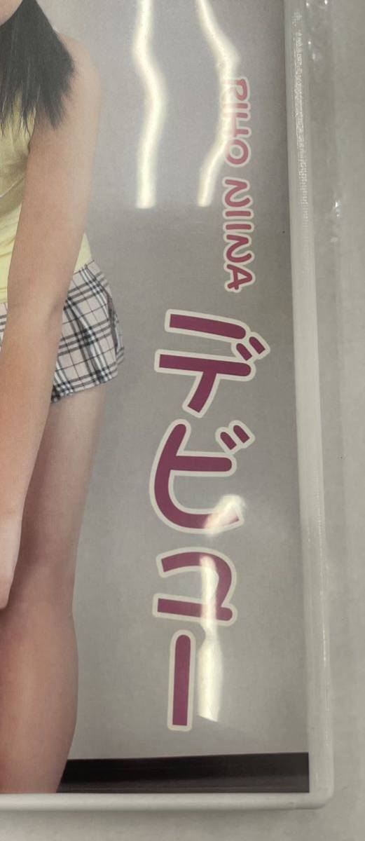 新菜りほ DVD 初回盤 ゴッド