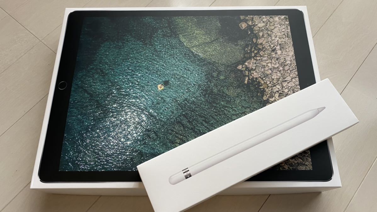 超美品】iPad Pro 12.9 第2世代 256GB スペースグレイ SIMフリー