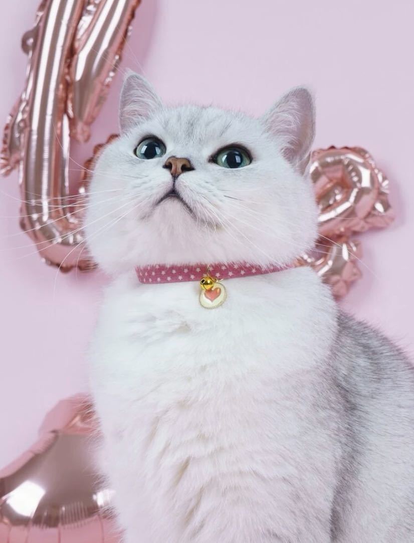 新品　猫　首輪　星　ハート　ピンク　鈴付き　ネコ　ねこ　ペット用品　ネコ用品