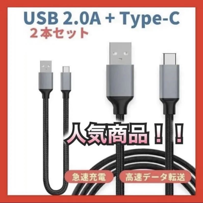 新品　充電ケーブル　Type C ケーブル　２本セット　20cm 100cm セット　USB_画像1