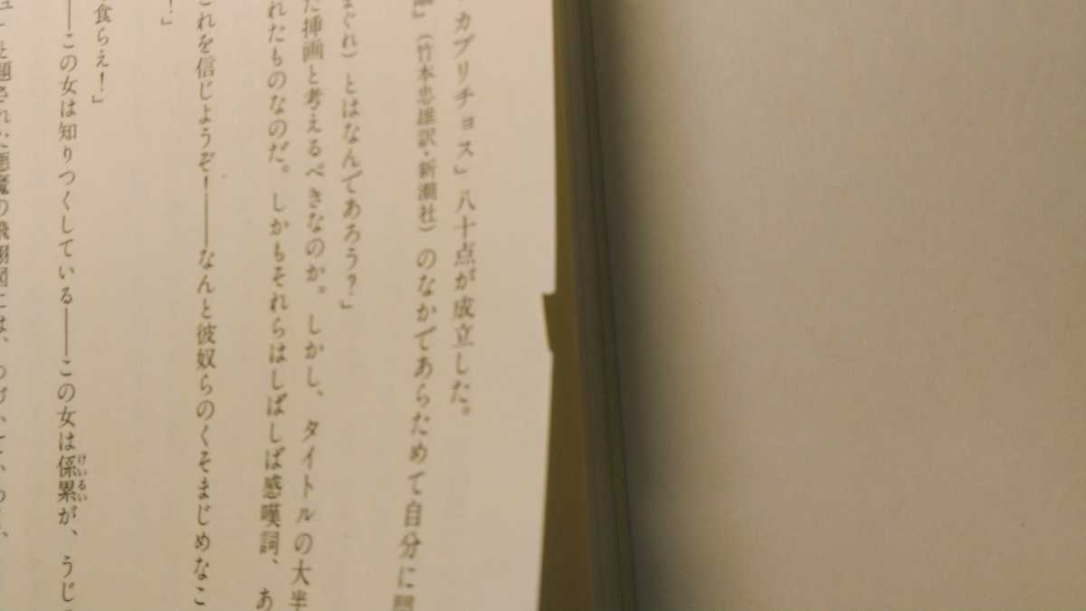 悪魔の話 池内紀 講談社現代新書_画像4