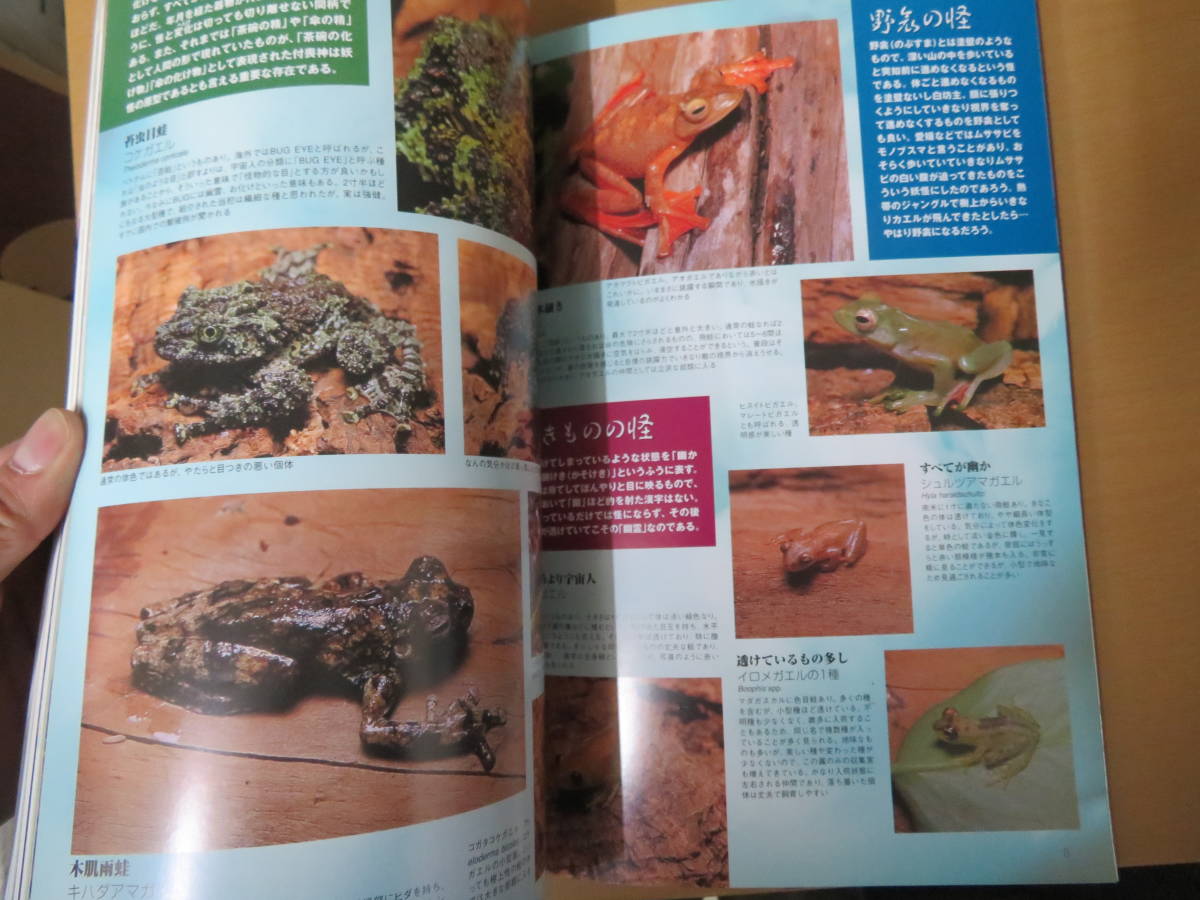 bi burr um guide 2006 year 34 frog special collection .. .. .sasakre lizard large set recommendation lato Sune -k Bear -do,pekos,dou both namela/SC