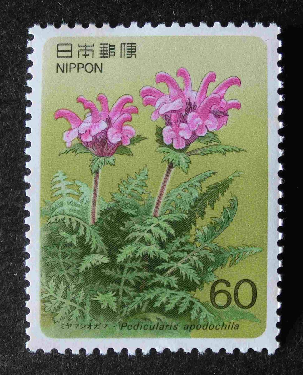 高山植物　第7集　ミヤマシオガマ　1986.2　60円　未使用　K1004_画像1