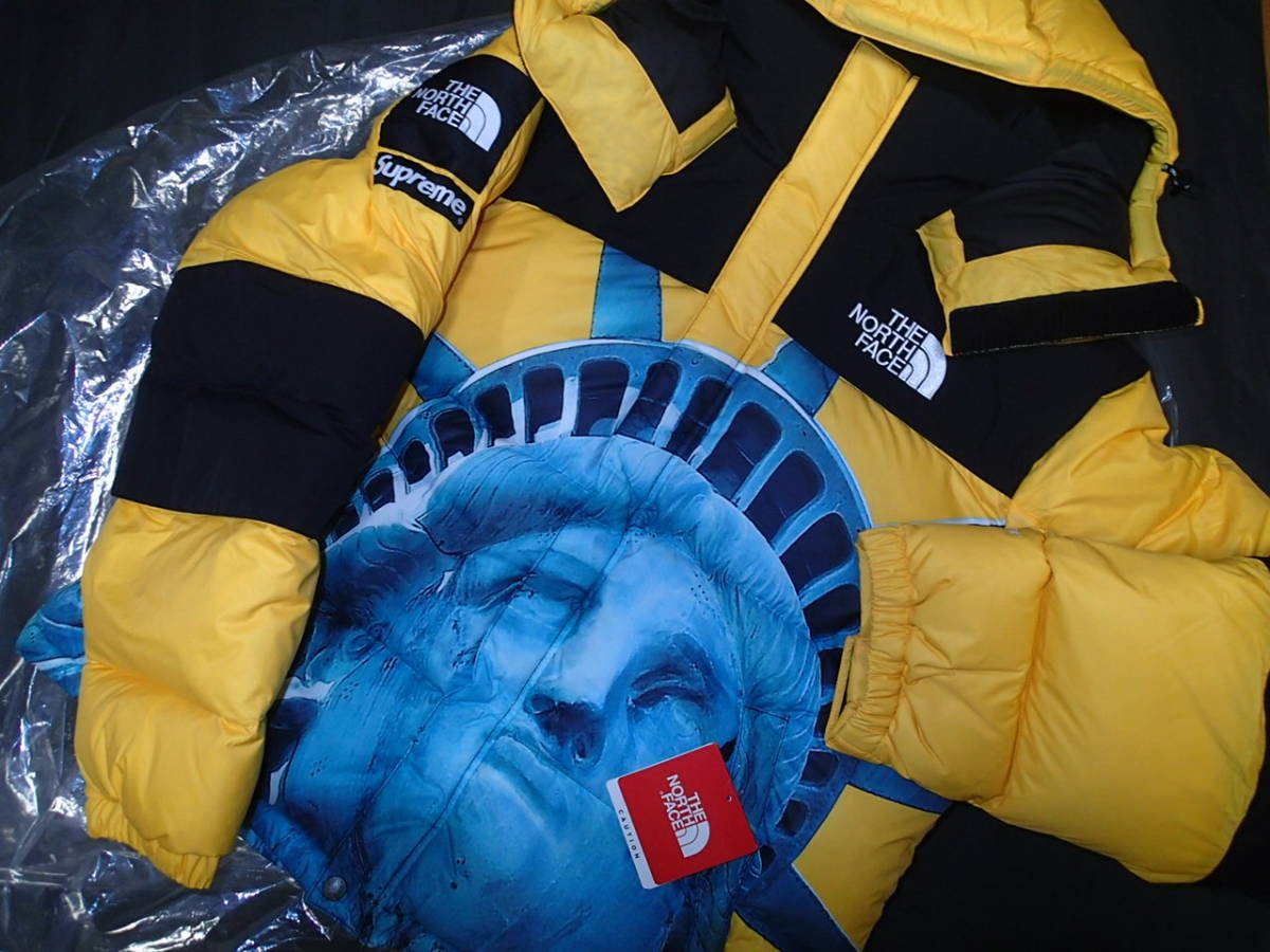 新品未使用 希少 S SUPREME × the north face STATUE OF LIBERT