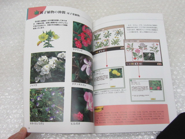 学研 マルチメディア図鑑 野外植物 PLANTS/大場達之 監修/CD-ROM付/学習研究社/2001年の画像5