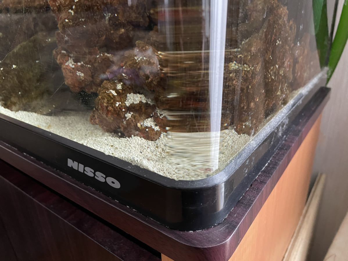 新作からsaleアイテム等お得な商品満載 水槽 引き取り限定 セット フィルター 水槽台 60cm セット Labelians Fr 新作からsaleアイテム等お得な商品満載 水槽 引き取り限定 セット フィルター 水槽台 60cm セット Labelians Fr
