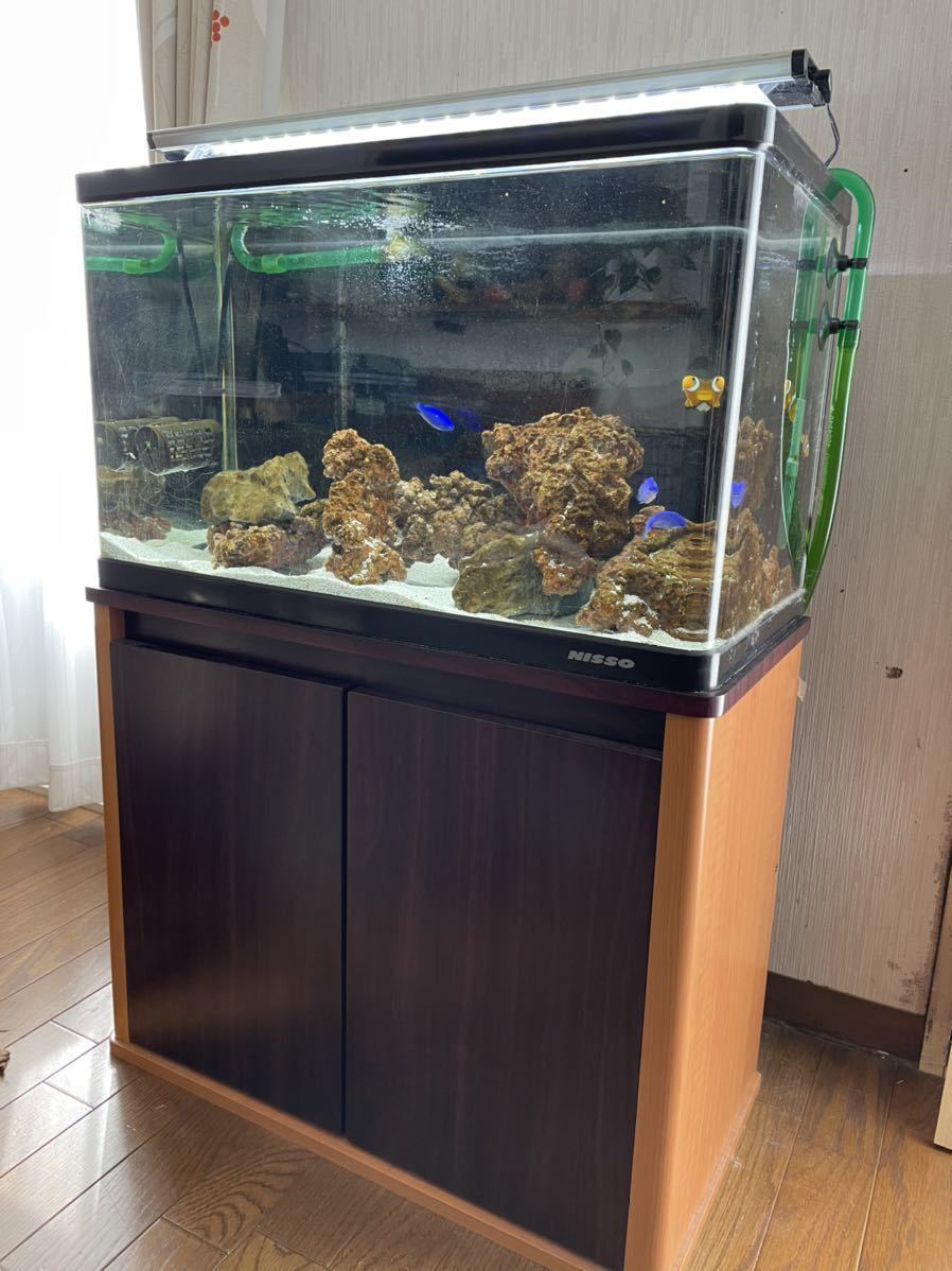 新作からsaleアイテム等お得な商品満載 水槽 引き取り限定 セット フィルター 水槽台 60cm セット Labelians Fr 新作からsaleアイテム等お得な商品満載 水槽 引き取り限定 セット フィルター 水槽台 60cm セット Labelians Fr