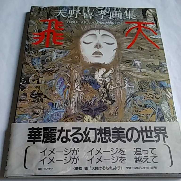 天野喜孝画集 飛天 初版 - メルカリ