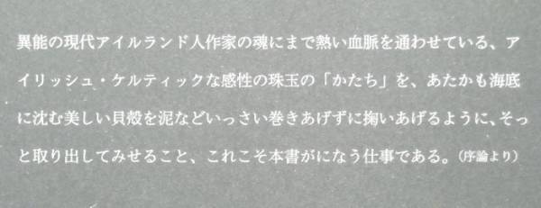 ■『生と死のケルト美学』桑島秀樹　法政大学出版局_画像3