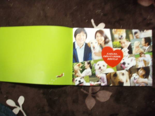 ☆パンフレット　犬とあなたの物語（2010年公開）_画像2