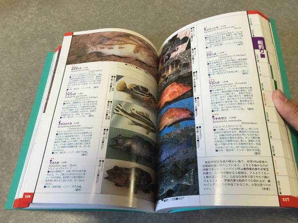  new ... large illustrated reference book - fishing fish color large all ... one ( work ) middle .. next ( work ), now .. next ( work ),